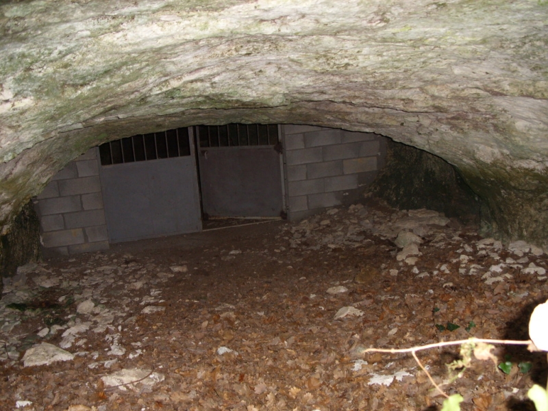stp80619.jpg