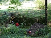 stp80583.jpg